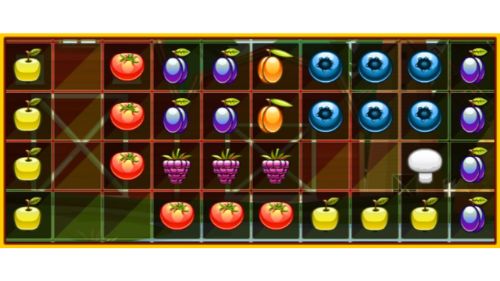 1010 FRUITS FARMING