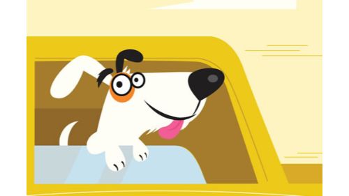 ADORABLE PUPPIES IN CARS MATCH 3
