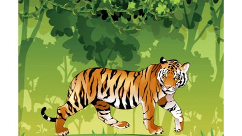 ANGRY TIGER COLORING