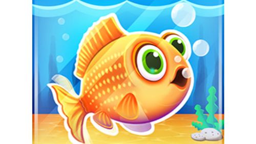 AQUARIUM FARM