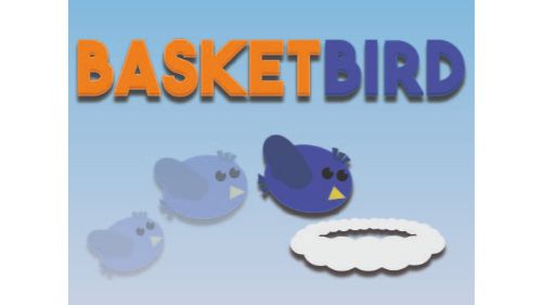 BASKET BIRD