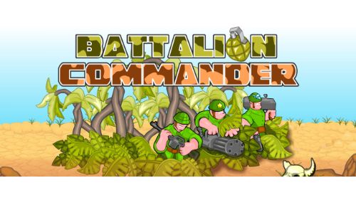 BATTALION COMMANDER