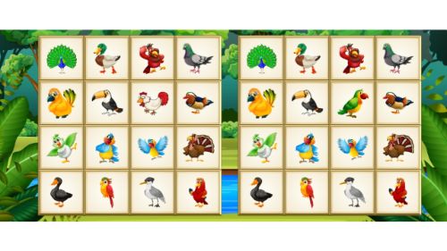BIRDS BOARD PUZZLES
