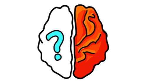 BRAIN OUT