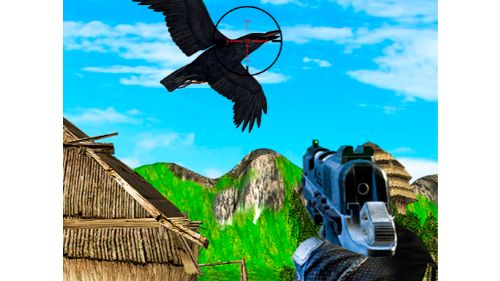 CHICKEN AND CROW SHOOT