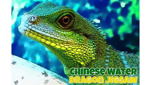 CHINESE WATER DRAGON JIGSAW