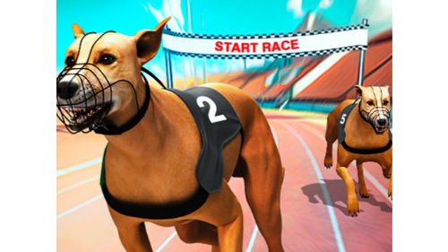CRAZY DOG RACING FEVER