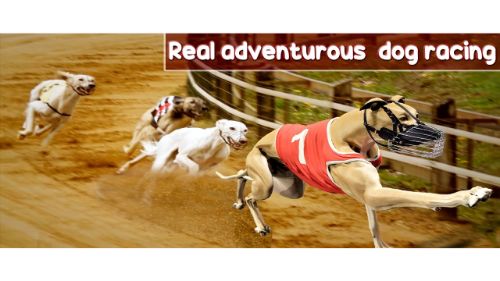 CRAZY DOG RACING GAME 2020
