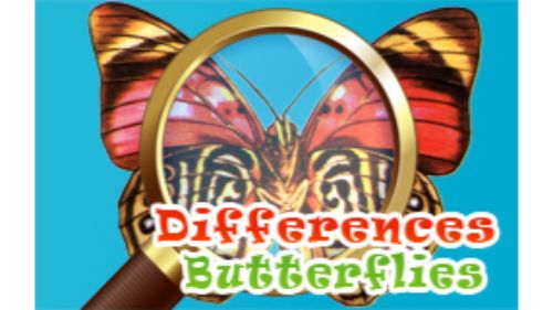 DIFFERENCES BUTTERFLIES