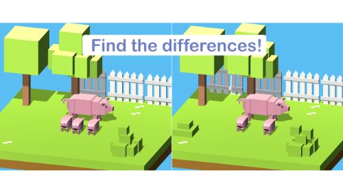 DIFFERENCES!