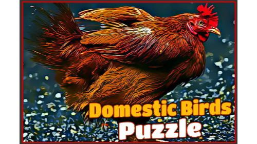DOMESTIC BIRDS PUZZLE