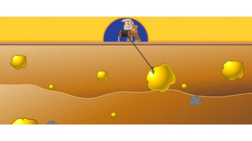 GOLD MINER