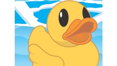 HELP THE DUCK