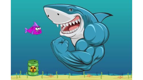 MAD SHARK