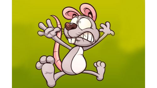 MOUSE HUNT RUNNER