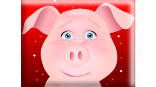 MY TALKING PIG MIMY