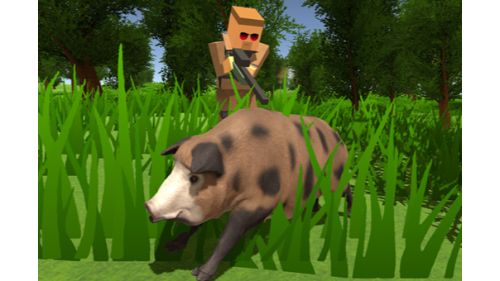 PIXEL HUNTING.IO