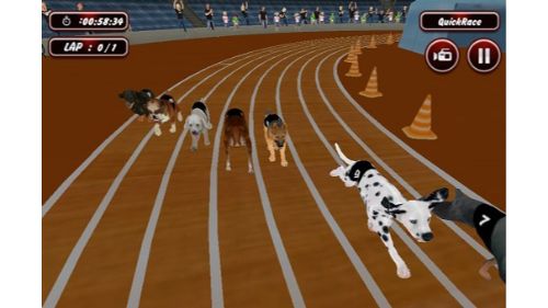 REAL DOG RACING SIMULATOR GAME 2020
