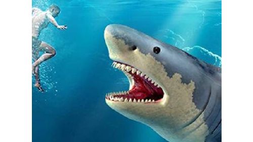 SHARK HUNTING