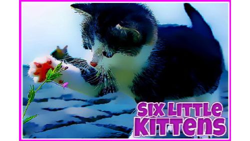 SIX LITTLE KITTENS