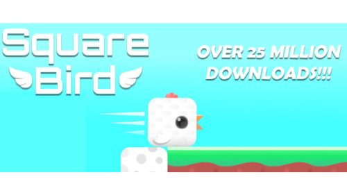 SQUARE BIRD